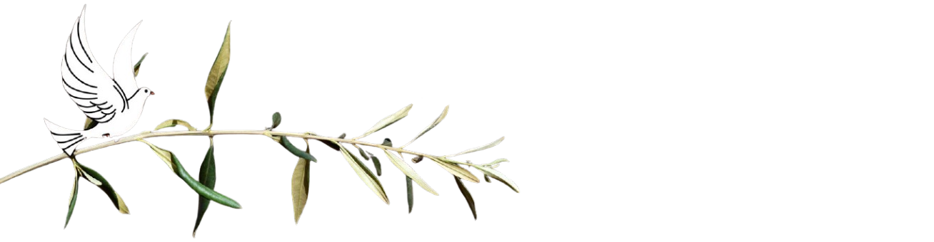 Human Error and Resilience
