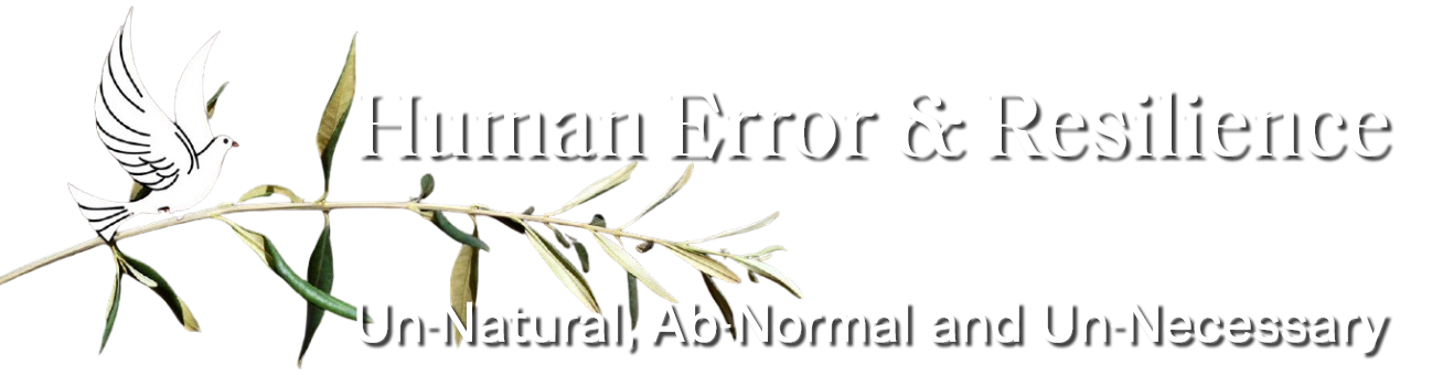 Human Error and Resilience
